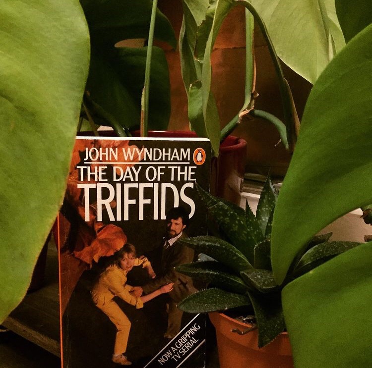 By the Book #14 – The Day of the Triffids by John Wyndham – The Open Book