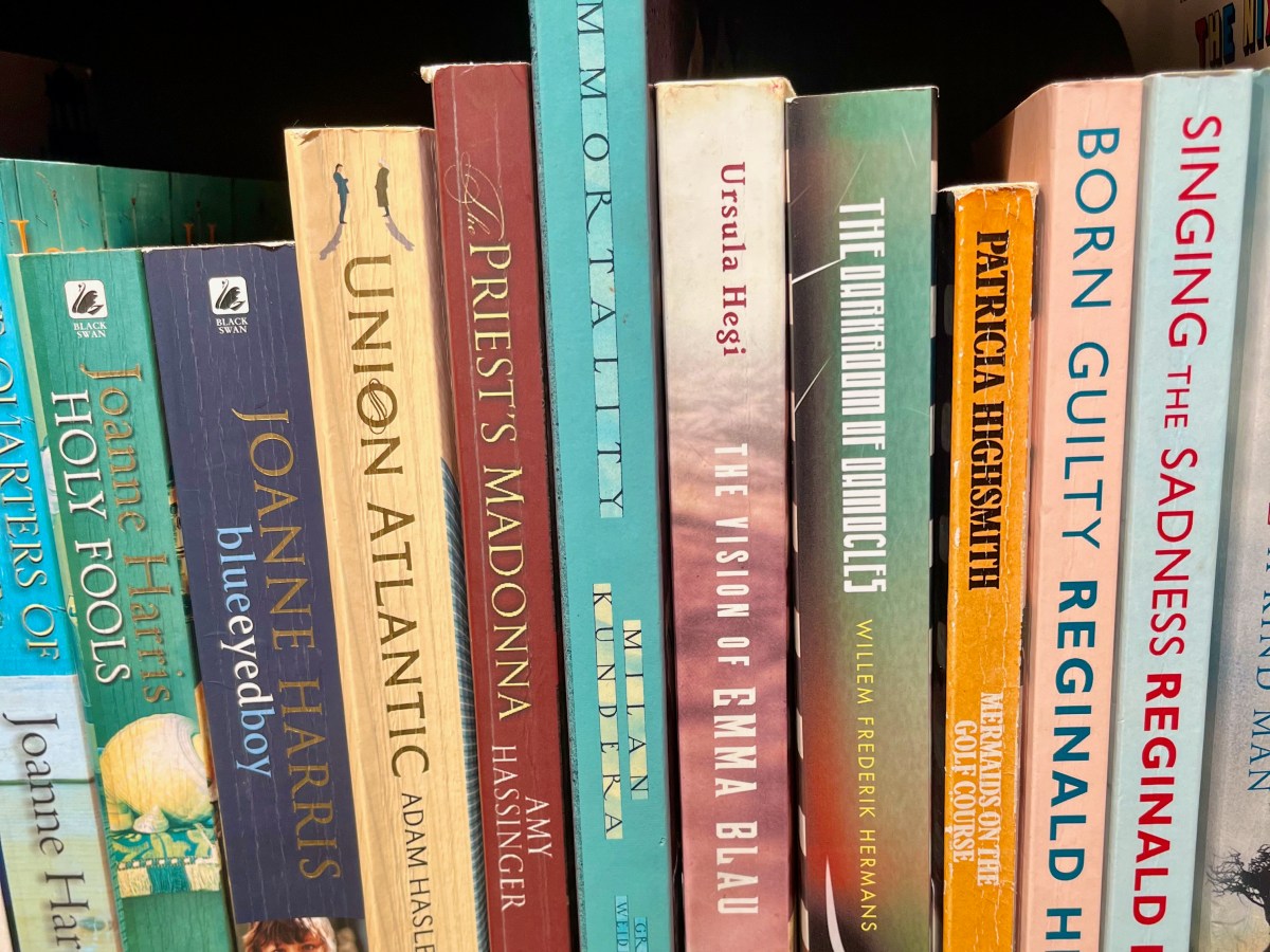 A Bookshop Daydream